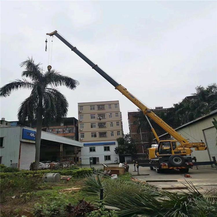 都安吊车吊大树几种方法